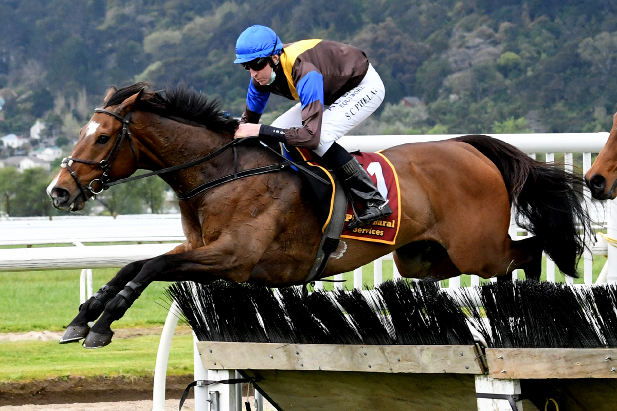 The Cossack Te Aroha